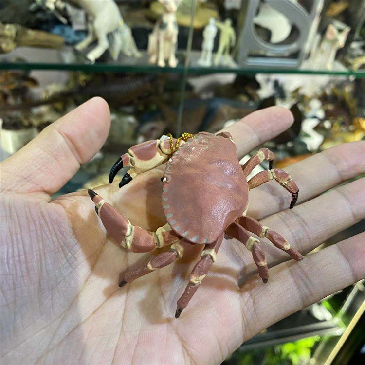 French PAPPO Bread Crab Simulation Marine Animal Model Toy Wild 56047 Bread Crab Crab 2020