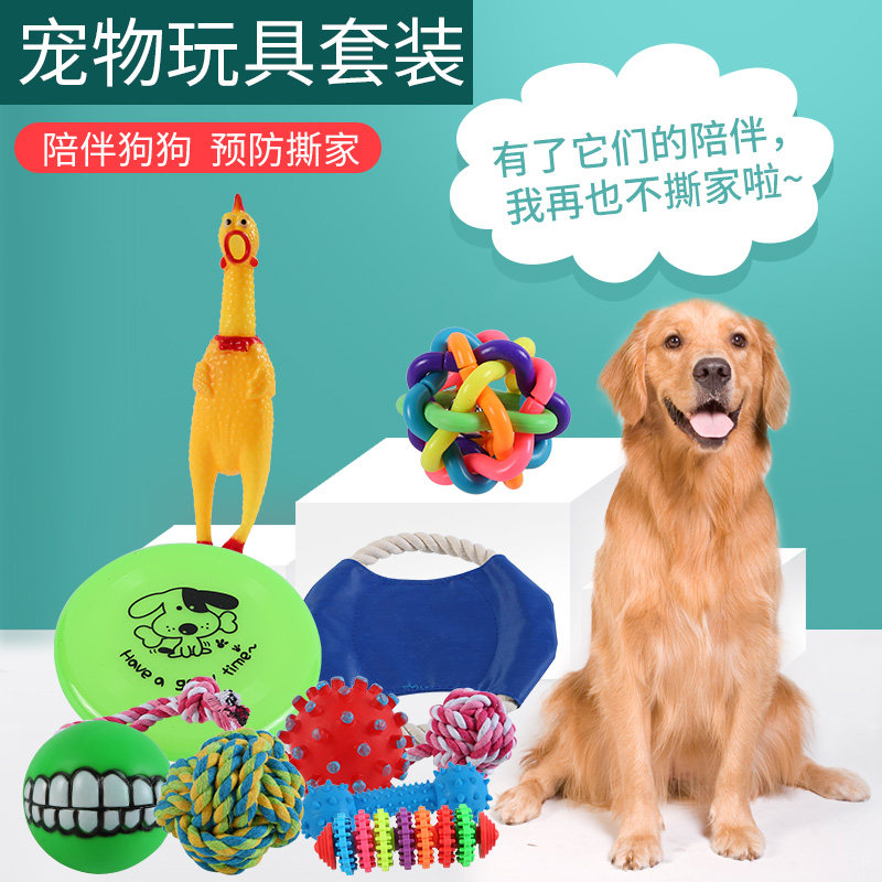 Dog molar toy bite-resistant ball large puppy golden retriever teddy small pet sounding supplies bone screaming chicken