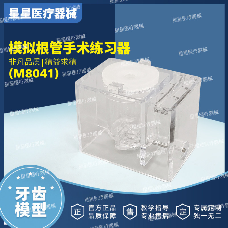 牙科根管练习器套装模型模拟人体口腔根管练习治疗实用型口腔教具