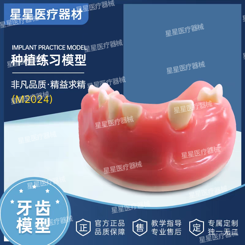 牙齿牙科种植模型上颌可拆卸树脂口腔牙科医生教学模具仿真模拟
