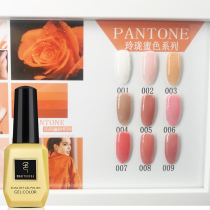 Lemon Linglong dense 9-color small set of armor oil glue