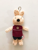 Корейский корейский сахарский кролик Colose Hanzi