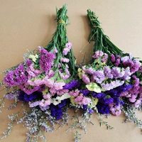 6 Забыто в траве+любовника