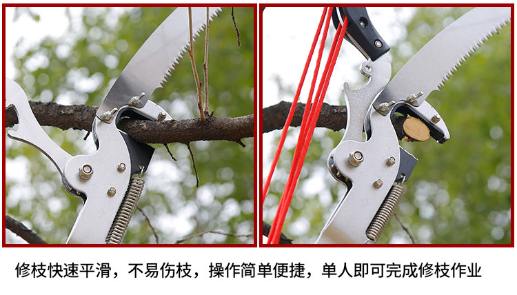 高枝剪伸缩园林工具修剪树枝剪刀高枝锯修树锯高空剪子园艺修枝剪-阿里巴巴