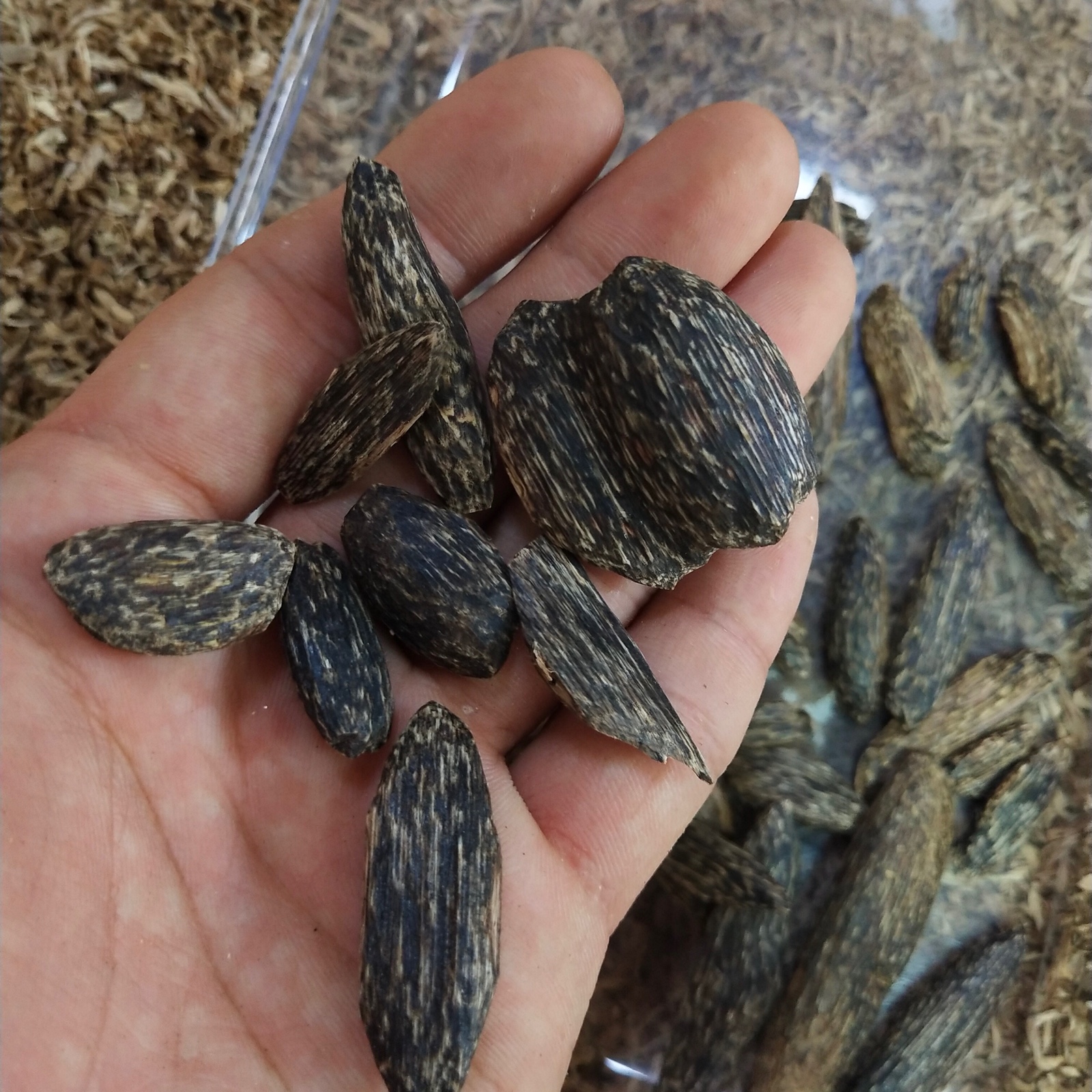 Hainan agarwood insect eye pendant black oil natural agarwood insect leak eye ant leak agarwood aromatherapy can be used as a pendant bracelet