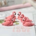 Nghệ thuật móng tay mới dễ thương flamingo móng tay mảnh thực hành ghế màu hồng trắng thiên nga mảnh đất sét thực hành móng tay khung - Công cụ Nail