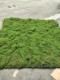 Artificial moss lawn fake moss turf moss wall greening wall bionic landscaping decoration simulated moss ball