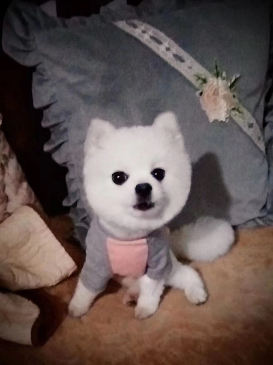 舒感生活馆
