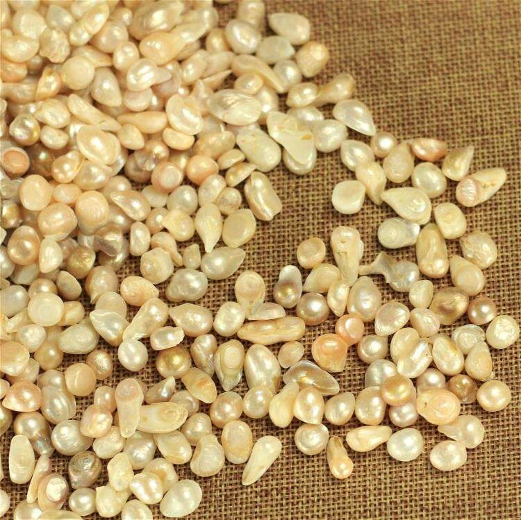 Supplies for supplies for Manza to be loaded with pure-pure-grade pearl units: two (50 gr)