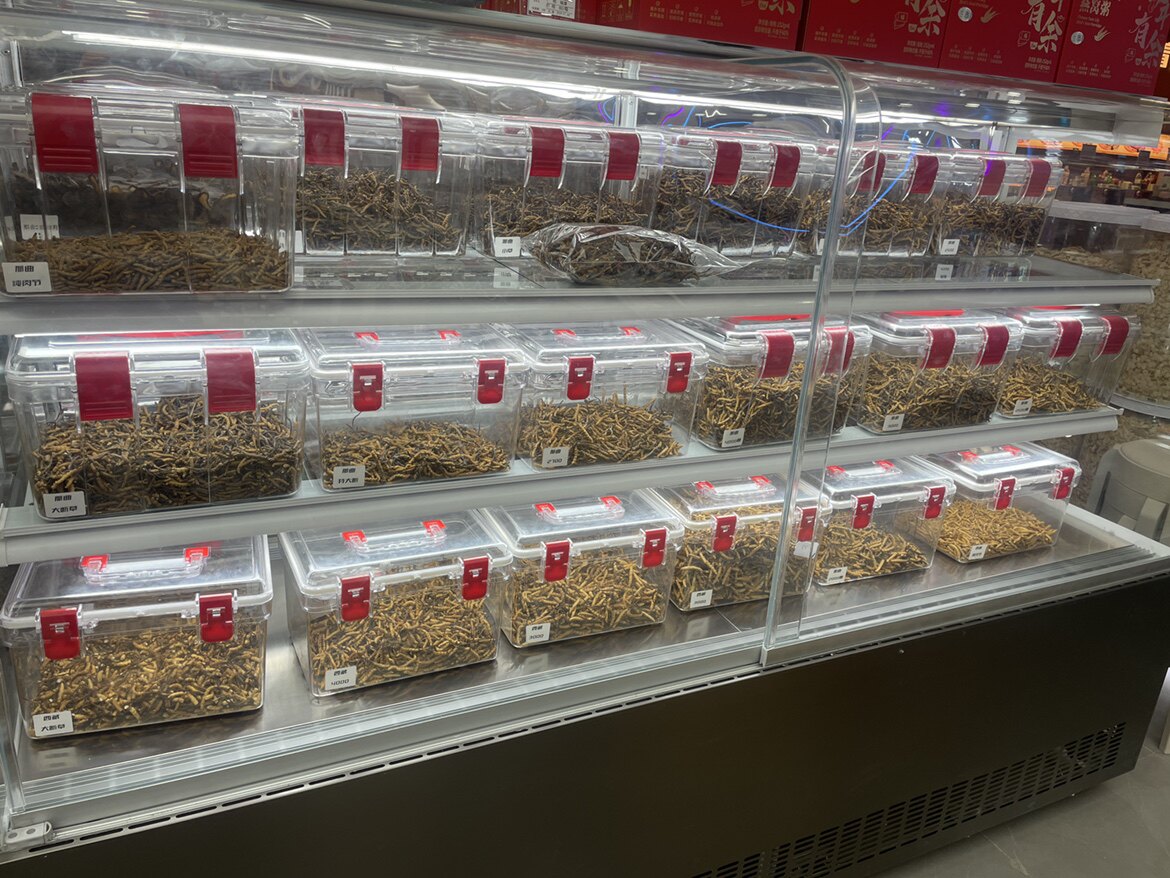 参堂滋补品仓储式采购中心