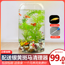 Ecological bottle fish micro landscape free water free care diy aquarium office desktop creative landscape fish tank
