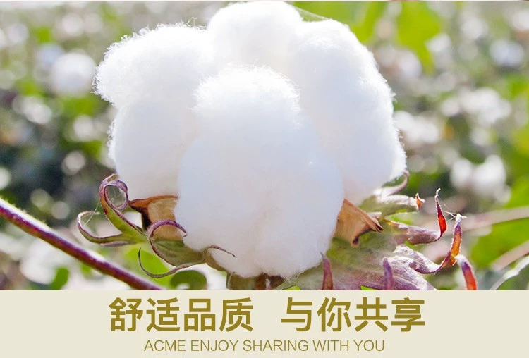 Phụ nữ trung niên và già áo len mẹ đồ lót nhiệt ông già cộng với lông cừu dày nhung cộng với chất béo áo len cotton kích thước lớn