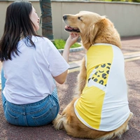 ○ Прохладный жилет ○ Желтая и белая строчка