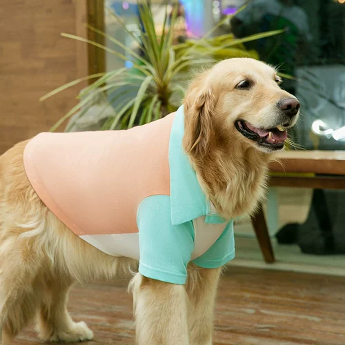 Big Dog Clothing Spring и осень Golden Retraado Shiblado Shibrah Pet средний