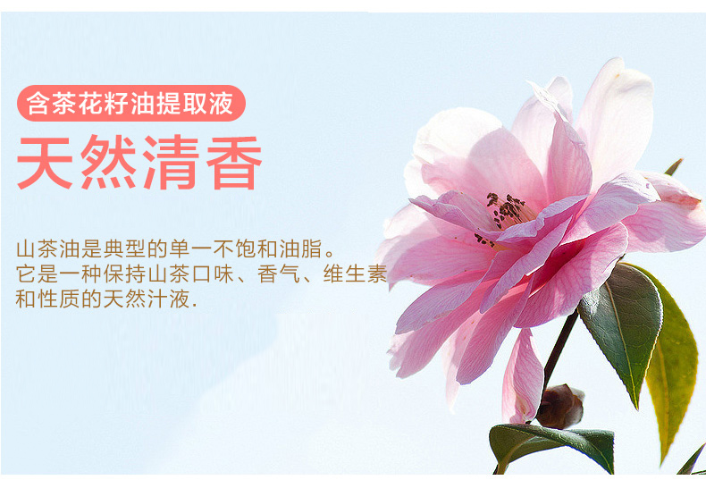 Khăn lau dành riêng cho thú cưng, chó, mèo, nước mắt, nước mắt, chó con, tiệt trùng, Teddy, đồ tắm - Cat / Dog Beauty & Cleaning Supplies lược chải lông