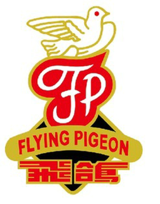 Chaîne de vélo FLYING PIGEON - Ref 2367827 Image 26
