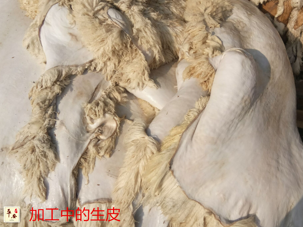 Lông cừu một mùa đông cộng với nhung dày làm ấm da rộng kích cỡ lớn nam và nữ quần da cừu trung và già quần ống rộng