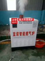 Lanuo gas boiler Bath gas boiler module gas boiler heating boiler