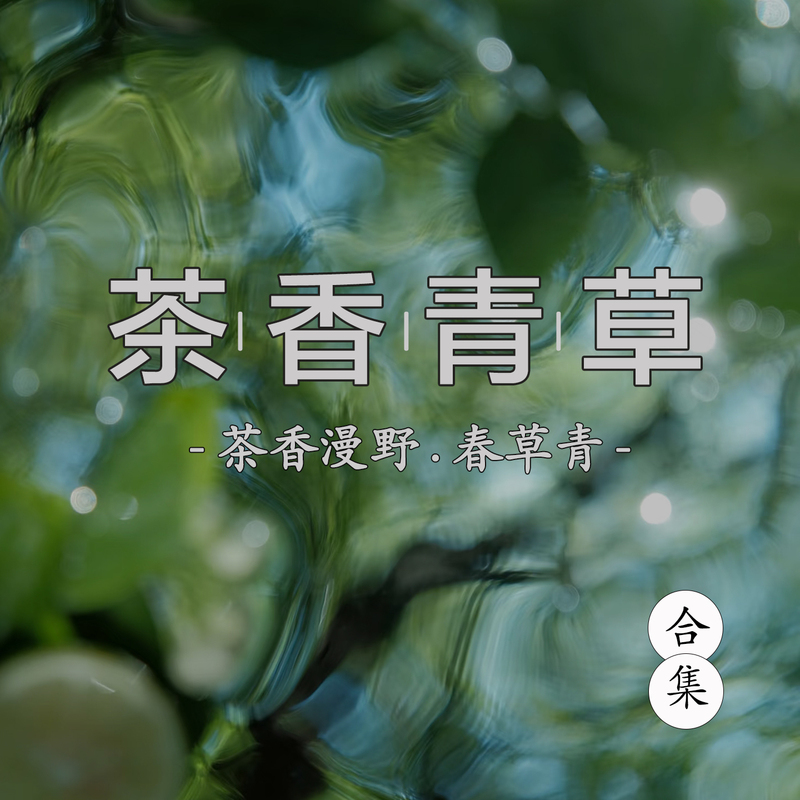 Mint Green Grass Green Summer Tea Jade Dragon Tea Fragrance All-Season Zen Tea Green Tea White Tea Premium Black Tea No. 29 Perfume