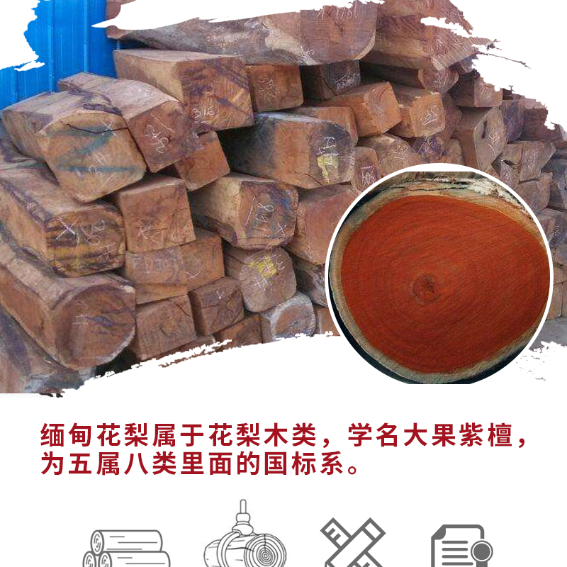 Махогани диван 红木国宝熊猫沙发缅甸花梨木明清古典家俱大果紫檀雕花客厅宝座椅 Red Earth