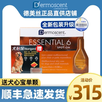 France original Golden point pet skin disease drops Herbal dog fungus off fur shavings deodorant 20-40kg