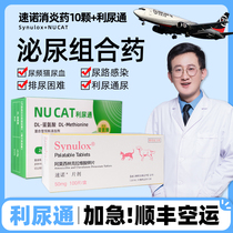 Diuresis through cats cats urinary tract infections cats urine blood frequent urination urinary system drugs pet stones drugs