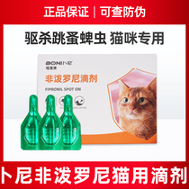 Kitty Insect Repellent inside and out of the body Pet kittens with non-prednisone deworming in addition to flea ticks