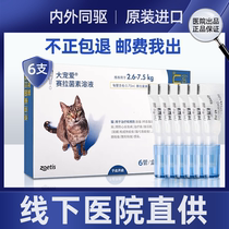Big favorite in vitro anthelmintic drops for cats in vivo in vitro anthelmintic drops flea ear mite anthelmintic drugs 6