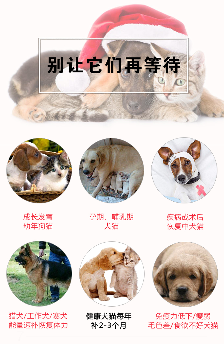 Kem dinh dưỡng cho chó Teddy Golden Retriever Cat General Pet Health Products 300g Vitamin Canxi bổ dưỡng sau khi phục hồi - Cat / Dog Health bổ sung 	sữa cho chó con 3 tuần tuổi