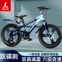 凤凰儿童自行车男孩8-12岁以上小学生中大童单车青少年变速山地车