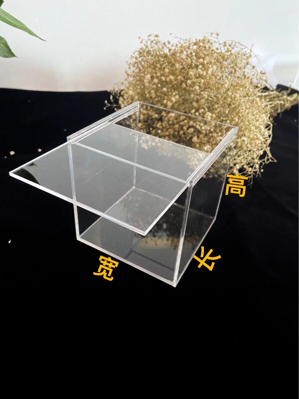 Royal Childhood Special Acrylic Display Case