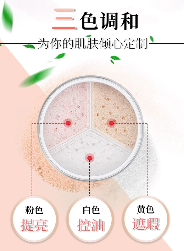 Ka Ting Sauvignon Blanc Trolor Furong Honey Powder Lasting Set Makeup Oil Kem che khuyết điểm chống nước Set Loose Powder Chính hãng Powder - Quyền lực