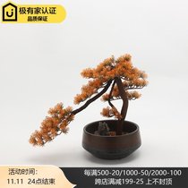 New Chinese simulation welcome pine furnishings sales office model room living room hotel porch dry landscape bonsai decorations