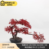 New Chinese simulation floral bonsai Red Maple ornaments clubhouse model room TV cabinet porch tea room decorations