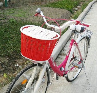 Panier pour vélo GAMMA en plastique - Ref 2265856 Image 13