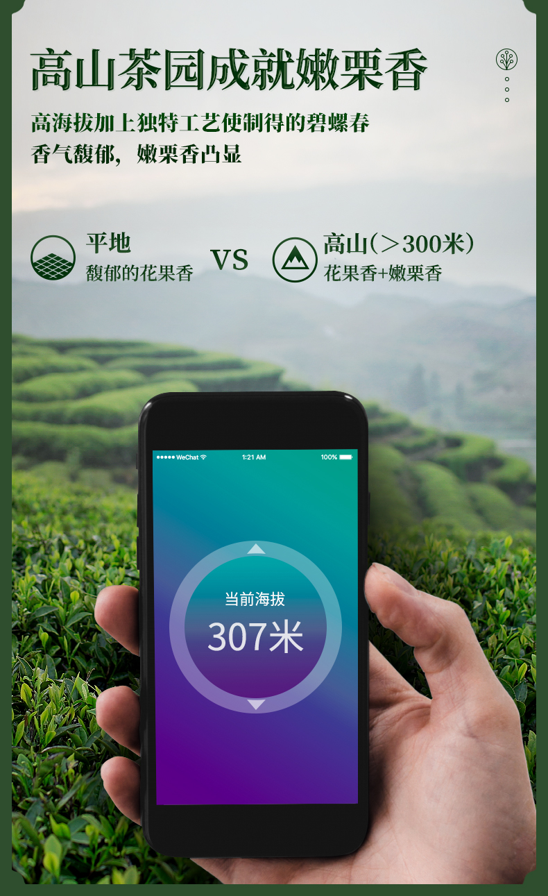 艺福堂 2022新茶 明前碧螺春250g 图4