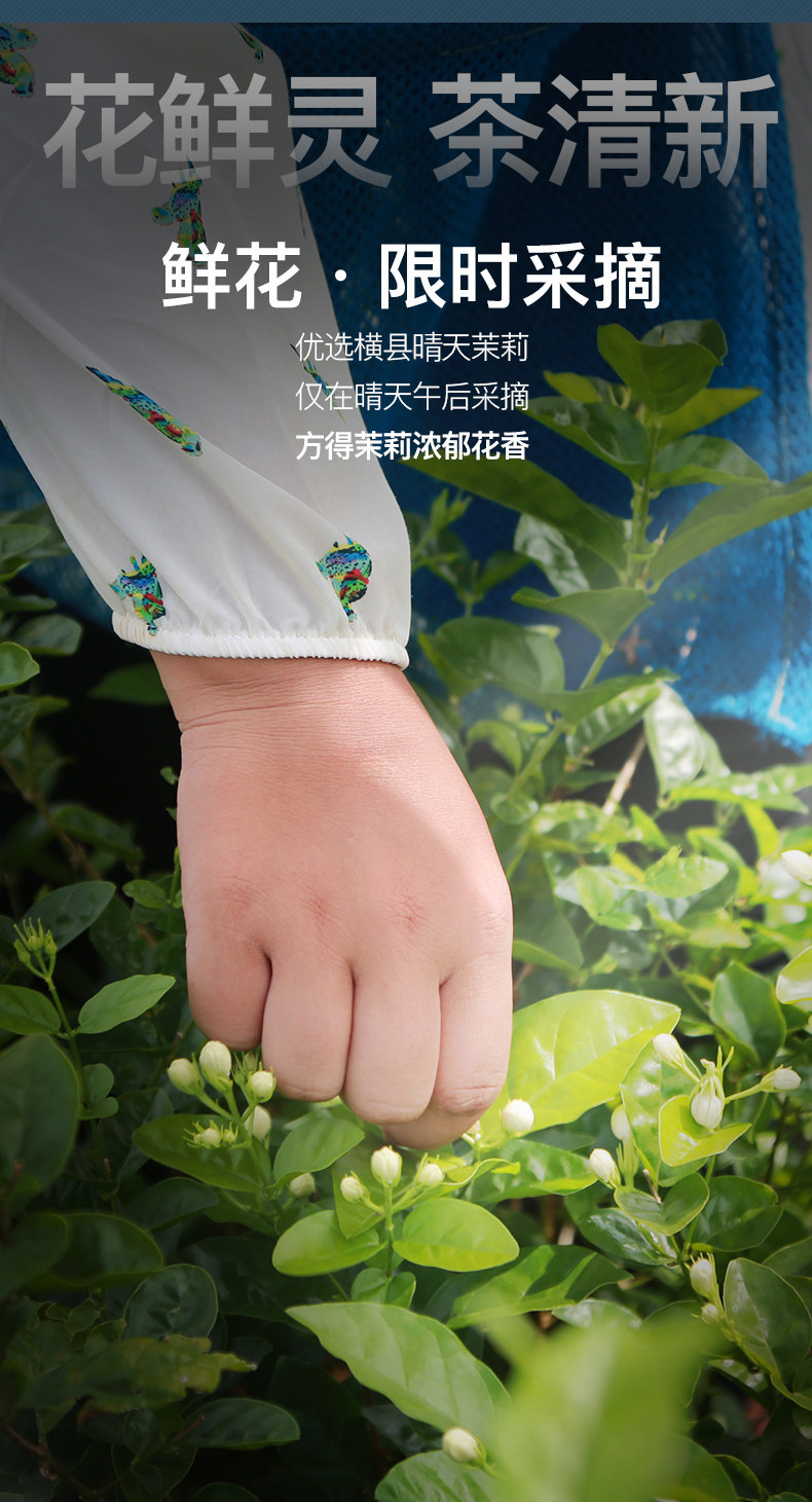 艺福堂 21新茶 茉莉香雪 特级浓香型 250g/罐 图5