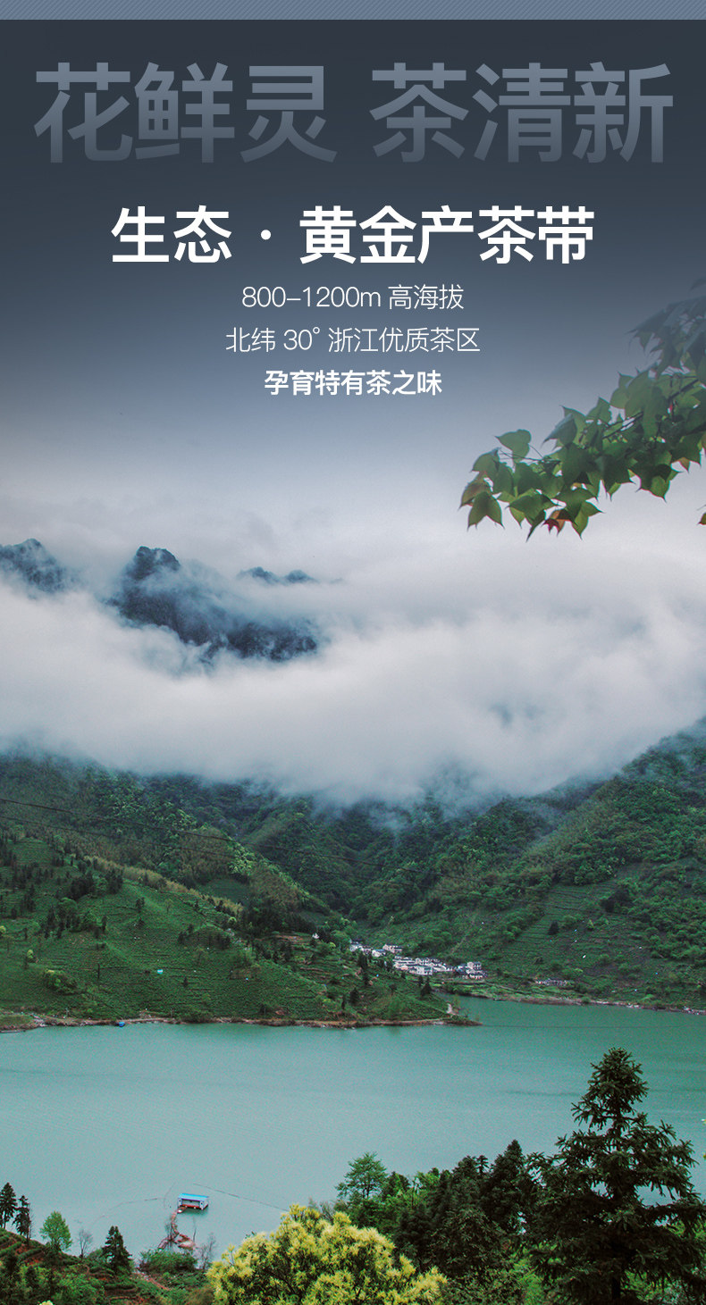 艺福堂 21新茶 茉莉香雪 特级浓香型 250g/罐 图3