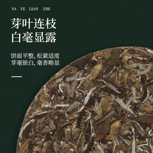 艺福堂茶叶福鼎白茶时光尊品3年陈白牡丹老白茶高档送礼盒装300g