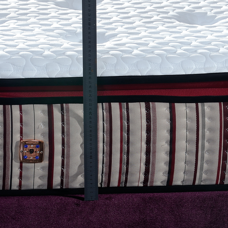 �ձ�˹�������Ϸ����齺����B15-01