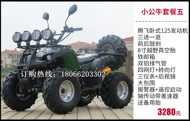 Lớn và nhỏ bò bốn bánh ATV xe mô tô đôi bốn bánh lái làm mát bằng nước cho thuê xăng kart điện