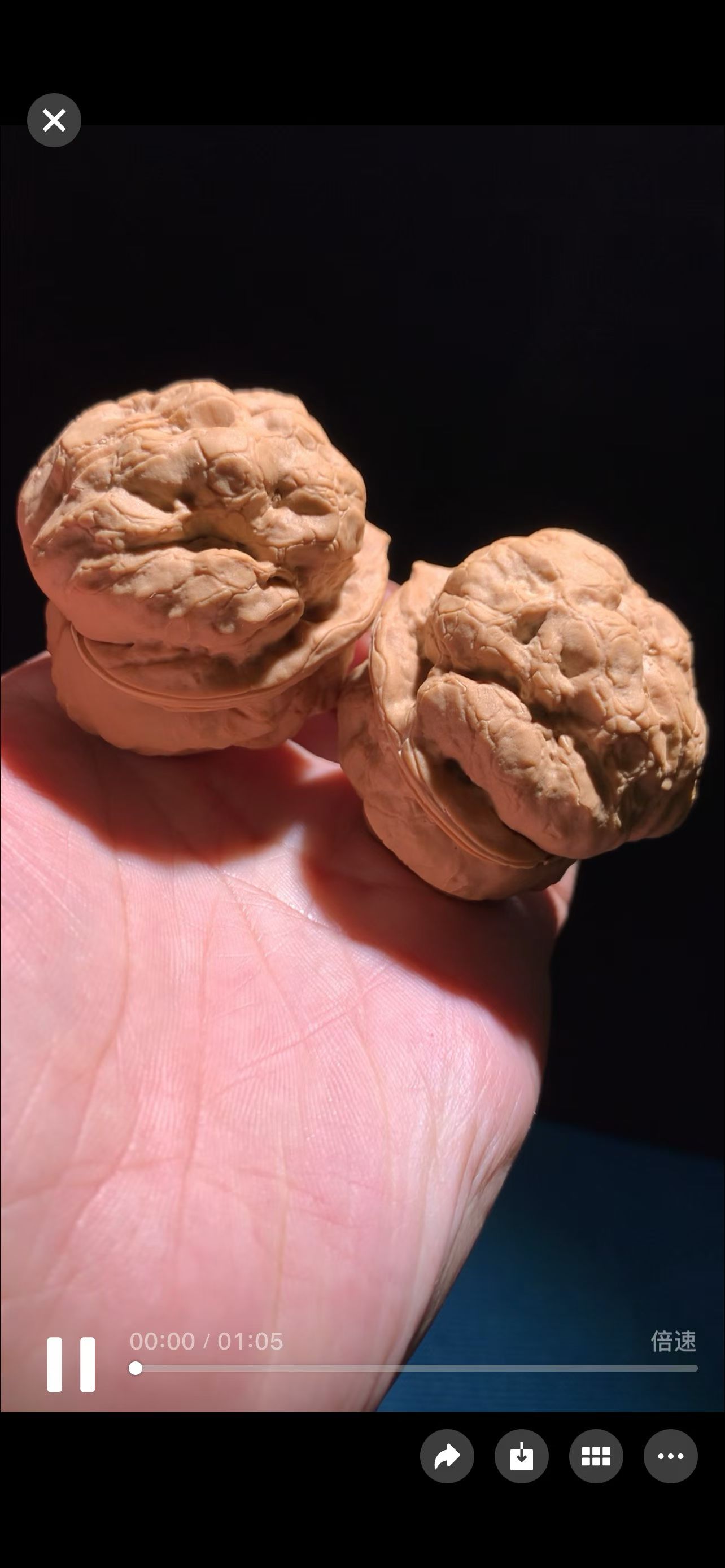 文承铁核桃