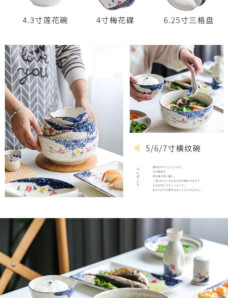 Chuan mei Japanese the island house light and wind under glaze color porcelain tableware household dish dish dish to eat noodles bowl A - 30