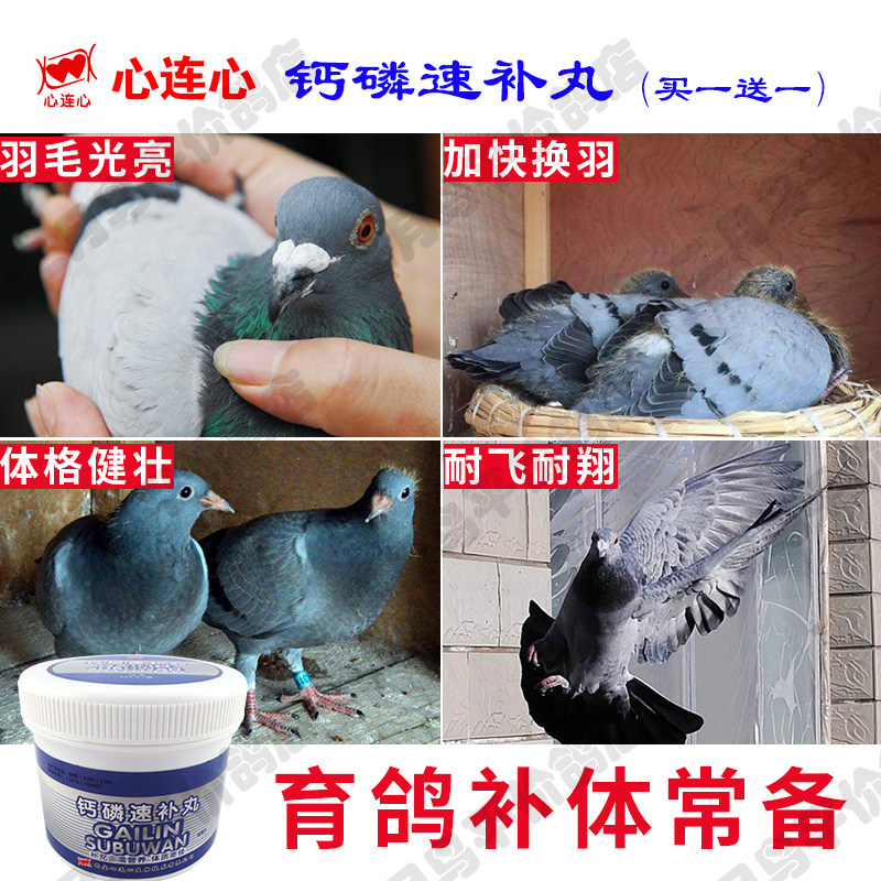 Heart to Heart Pigeons Nguồn cung cấp chim bồ câu [Canxi Phosphate Instant Pills] Canxi Viên nén Canxi Phosphate Canxi Mua một tặng một - Chim & Chăm sóc chim Supplies máng nước tự đông cho gà