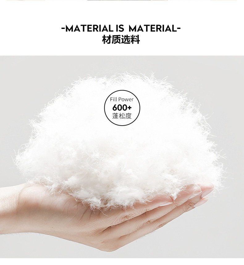 Blouson homme PLAYBOY     en Polyester - Ref 3121293 Image 10