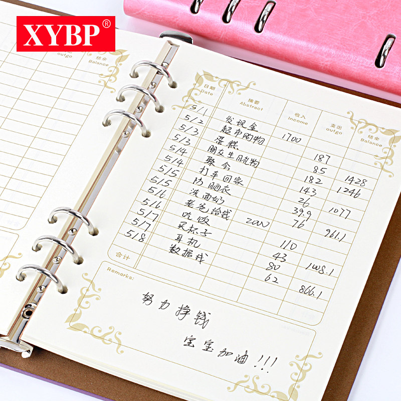 Household Account Account and Cash DetailCash Diary Lazy Family Lazy Family Notebook