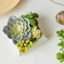 Jiusi Zhixing simulation multi-meat potted plant combination desktop small plant floral decoration ornaments art167