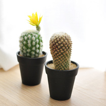 Simulation cactus small potted plants fake succulents hair table ornaments commercial fashion Nordic style art227