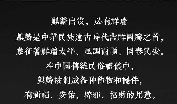 Bague homme en Argenterie - Ref 3086738 Image 8