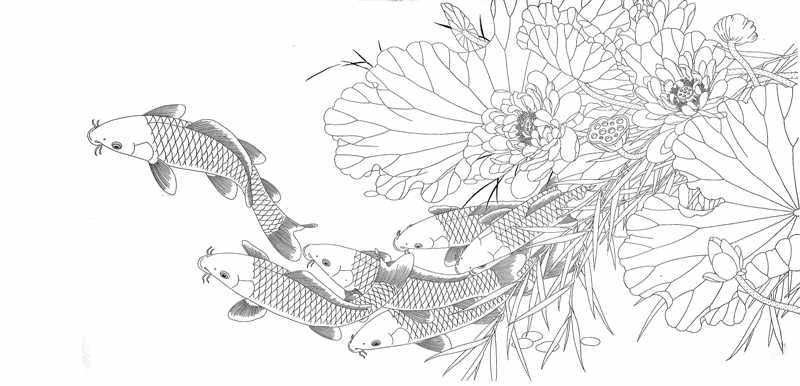 工笔画白描底稿4尺横幅荷花鲤鱼图毛笔勾线宣纸画稿无框装裱